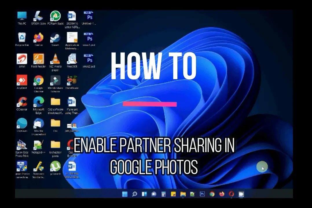 setup google account partner sharing